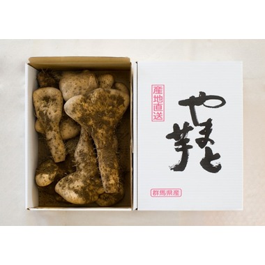 ご贈答用やまと芋（小）